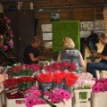 Corso 2012; Opbouw van de boot - deel 2